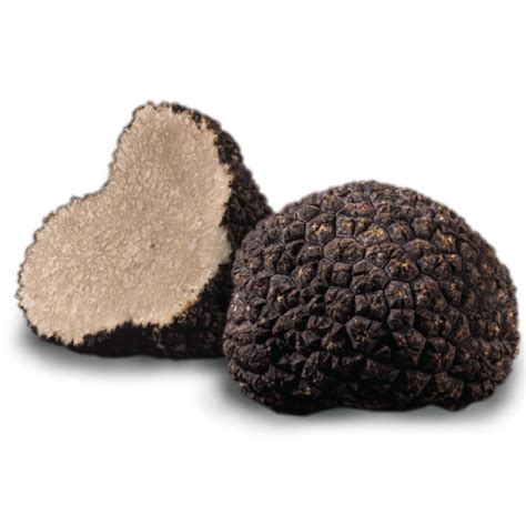 Fresh Australian Truffles Whole Tuber Melanosporum Plantin