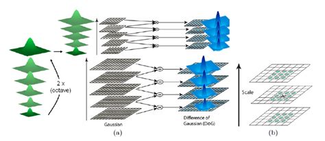 Gaussian Pyramid Smoothing And Subsampling B Selection Of Extrema