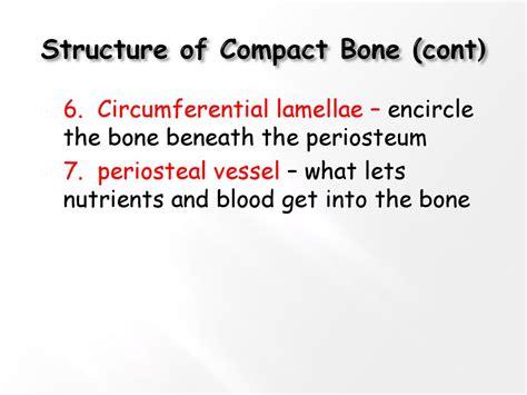 Osteology Study Of Bone Structure And Function Bones Are Organs Ppt