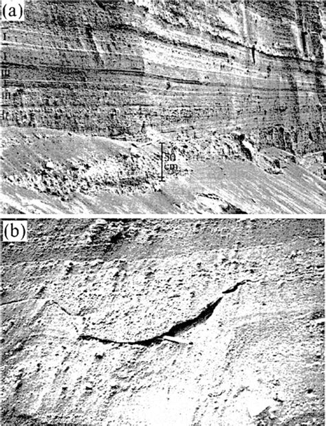 A C Typical Sandwave Bedforms Near Site 7a Between 600 And 700 M From