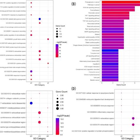 Gene Ontology GO And KEGG Pathway Analysis Of The Genes In The Three