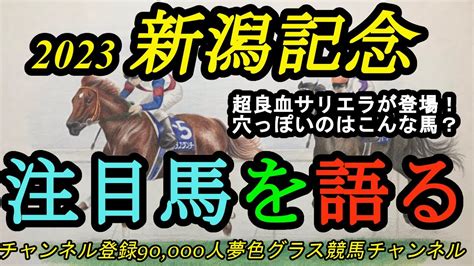 【注目馬を語る】2023新潟記念！良血サリエラが重賞取りに参戦！穴は最後に紹介する馬のようなタイプ？ Youtube