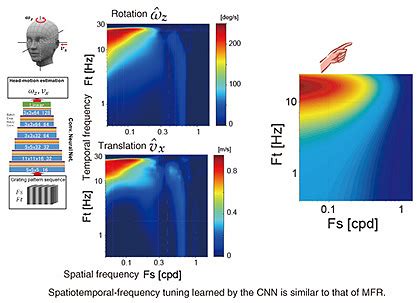 Elucidating The Relationship Between Implicit Quick Manual Reactions