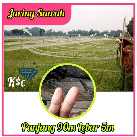 Jual Jaring Burung Emprit Jaring Penutup Sawah Jaring Padi Petani