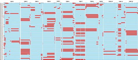 Graphical Genotypes Of 56 Advanced Backcross Lines ABs The Rows