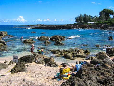 Sharks Cove: The Best Place To Dive And Snorkel On Oahu – DesertDivers