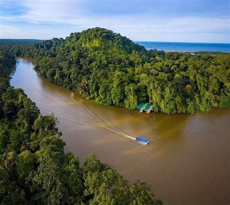 Parque Nacional Tortuguero Infraestructura Sostenible Bioclim Tica Y