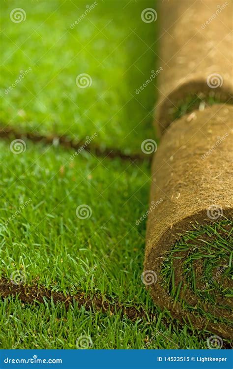 Turf grass rolls stock image. Image of growing, field - 14523515