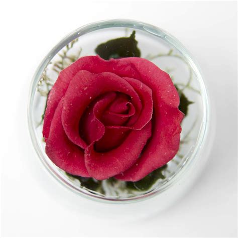 Cute – Red-Rose – LyoFlorals