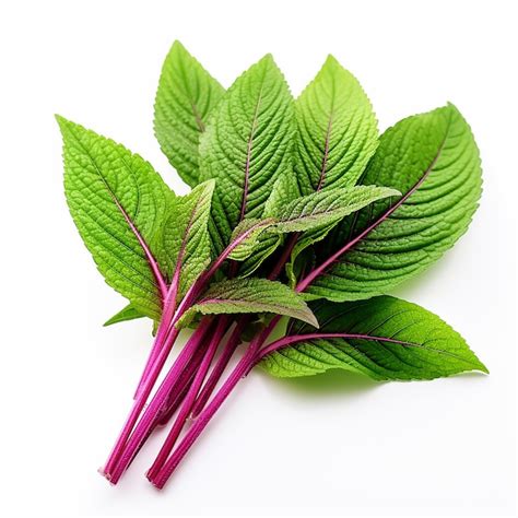 Premium AI Image Amaranth Leaves With A Hint Of Green On White Background