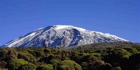 Mount Kilimanjaro Day Tour Livingstone Safari Tanzania