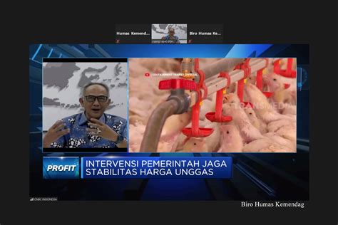 Dirjen Pdn Pada Wawancara Profit Cnbc Indonesia Tv Kementerian