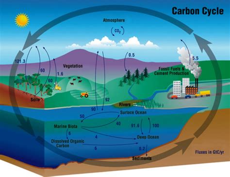 Can We Rebalance The Carbon Cycle While Still Using Fossil Fuels World Economic Forum