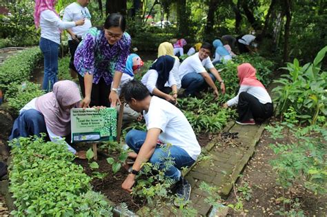 Ajak Mahasiswa Peduli Lingkungan S Keperawatan Gelar Aksi Tanam Pohon