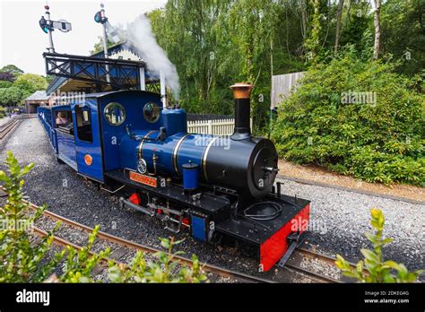 England Hampshire New Forest Exbury Exbury Gardens The Steam