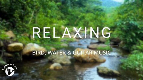 Relaxing Music with Nature Sounds - Piano Music - Smoothing Relaxation ...