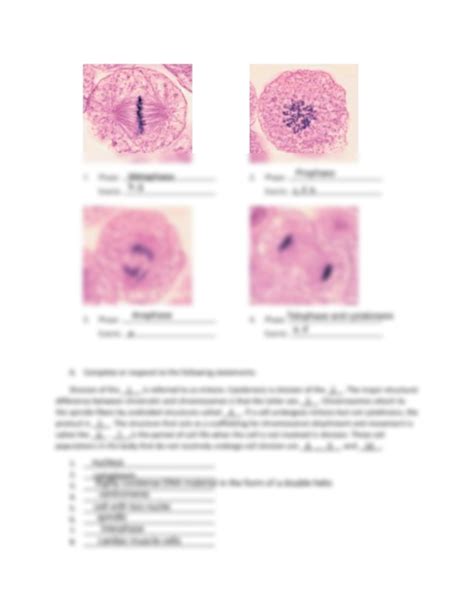 Solution Cells And Tissues Laboratory Worksheets Studypool