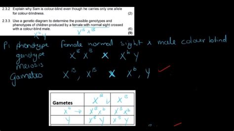 Gr 12 Life Sciences Genetics And Inheritance Part 5 Sex Determination