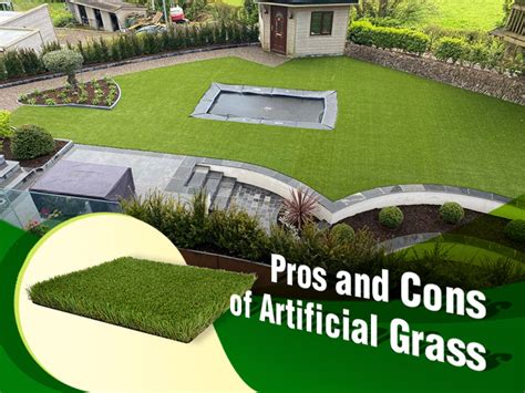 Pros And Cons Of Artificial Grass CCGrass