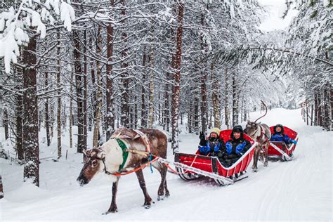 Lapland For Christmas 2024 - Toma Agnella