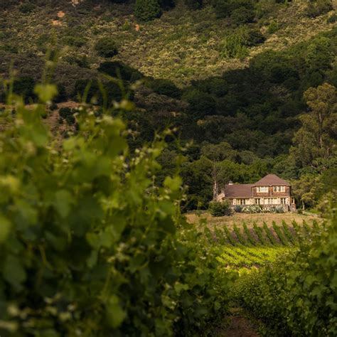 12 Best Sonoma Valley Wineries and Vineyards to Visit