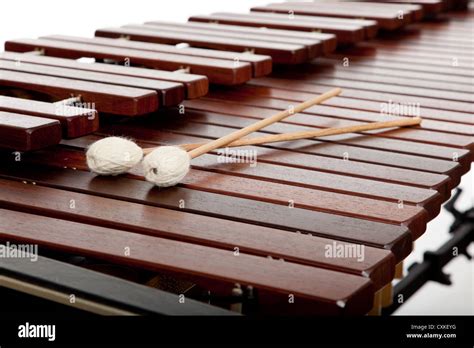 Marimba hi-res stock photography and images - Alamy