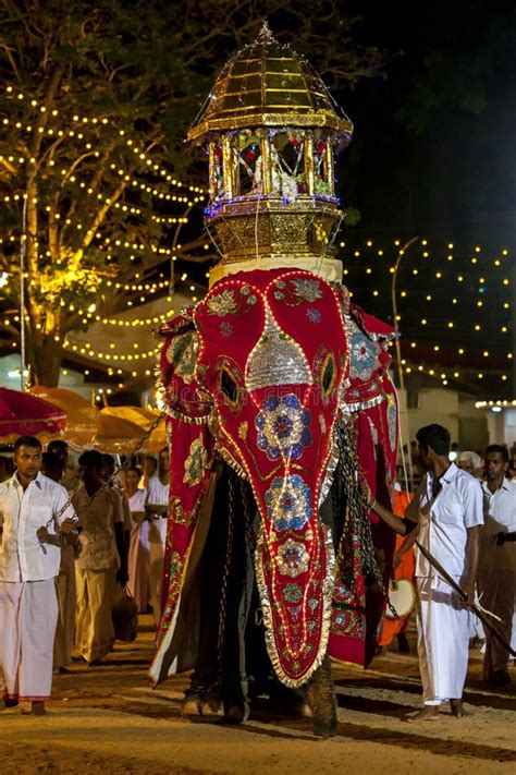 A Beautifully Dressed Ceremonial Elephant Parades Through The