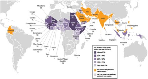 A Summary Of Female Genital Mutilation Cutting For The Pediatric And