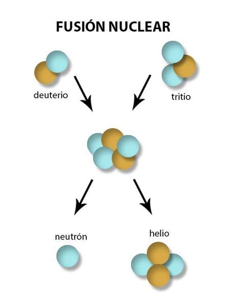 Estructura Nuclear Flashcards