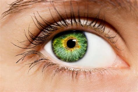 Top Imagen Maquillaje Para Resaltar Ojos Verdes Paso A Paso