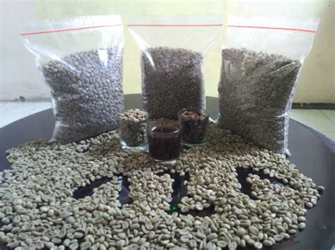 Jual Biji Kopi Arabika Gayo Luwak Liar Kg Kopi Mentah Green Bean Coffe