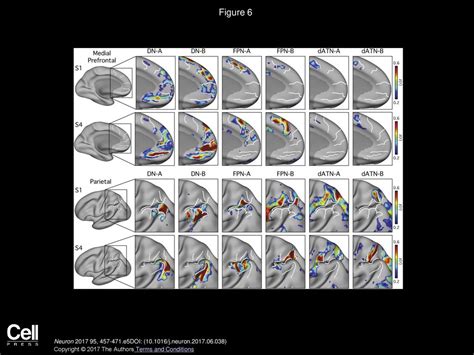 Parallel Interdigitated Distributed Networks Within The Individual