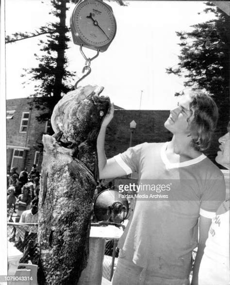 Mount Colah Photos And Premium High Res Pictures Getty Images