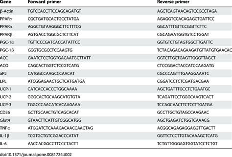 Sequences Of The Primers Used In Real Time Pcr Of The Mouse Tissue Download Table