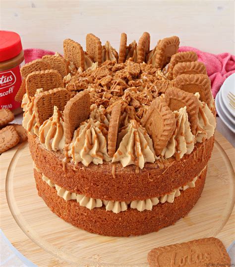 Biscoff Cake The Baking Explorer