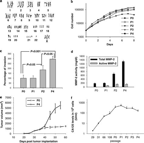 Characterization of the selected highly invasive P4 cell line. (a) A ...