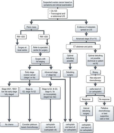 Cancers Of The Female Genital System Oncohema Key