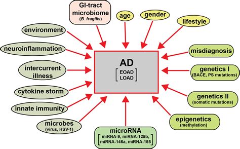 Frontiers Microrna Based Biomarkers In Alzheimers Disease Ad