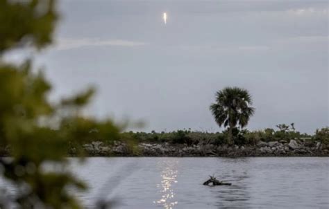 Despega Desde Florida La Primera Misi N Espacial Comercial