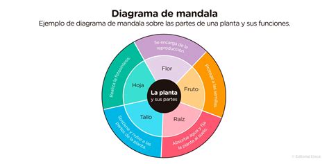 Organizadores Gr Ficos Qu Son Tipos Y Para Qu Sirven