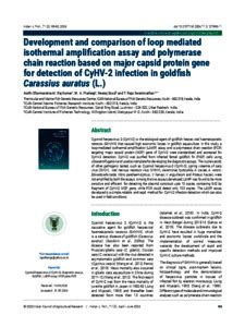 Development And Comparison Of Loop Mediated Isothermal Amplification