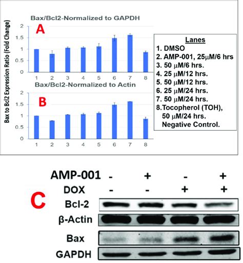 A Quantitative Real Time Rt Pcr Analysis Of Ratio Bax And Bcl2 In