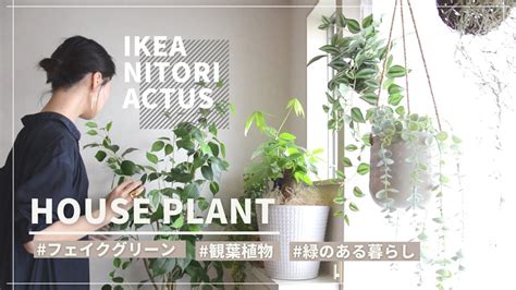 【緑のある暮らし】フェイクグリーン9割観葉植物で明るいお部屋に Youtube