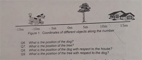 no -15m - 5m -10m Om 10m 5m Figure 1. Coordinates of different objects along the number Q6. What ...