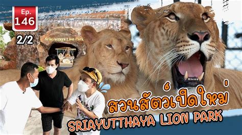 Sriayuthaya Lion Park สวนสัตว์เปิดใหม่ล่าสุด เพื่อนรักสัตว์เอ๊ย Ep