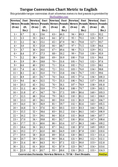 Newton Meters Conversion
