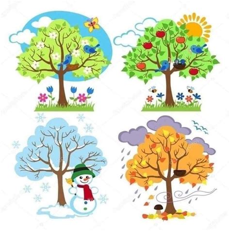 Pin by erdei rozalia on évszakok | Four seasons art, Tree clipart ...