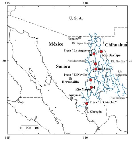 Hábitos alimentarios de la nutria neotropical Lontra longicaudis