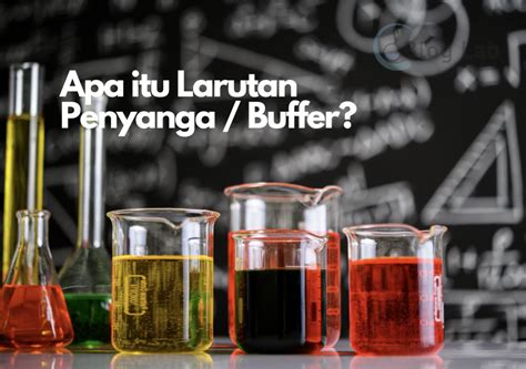 Apa Itu Larutan Penyangga Jenis Dan Fungsinya