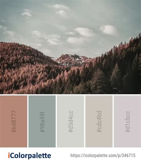 Winter Color Palette Offeo